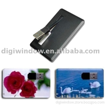 Credit Card USB Flash Drive (DW-U-005)